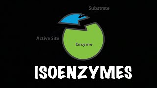 Isoenzyme  Enzymes  Biochemsitry [upl. by Ynohtnad]