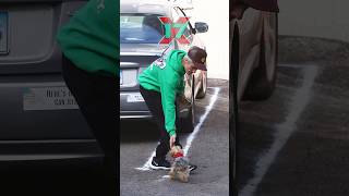 Justin Bieber Experiences Puppy Love At The Studio [upl. by Creamer946]