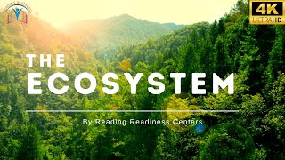 Ecosystems  Aquatic and Terrestrial Ecosystems Explained for Kids [upl. by Sissie]