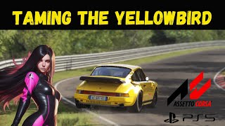 Ruf Yellowbird On Nordschleife  Assetto Corsas Ultimate Challenge [upl. by Egidio]