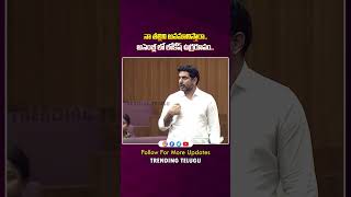 నా తల్లిని అవమానిస్తారా  వాడు మొగోడైతే రమ్మను🔥🤙  Nara Lokesh in Assembly  Trending Telugu [upl. by Aicenod380]