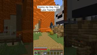 Saving my Dog from a Lava Tsunami in Minecraft minecraft [upl. by Rihana382]