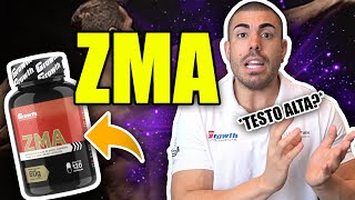 Tudo sobre zma aumenta a testo [upl. by Lodie]