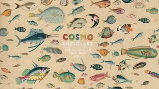 Cosmo Sheldrake  Wriggle Instrumental [upl. by Anuaf]