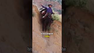 Riding the Descent Conquering the Slope animals horse shortvideo [upl. by Maxfield478]