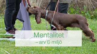 Mentalitet  arv och miljö [upl. by Eignav]