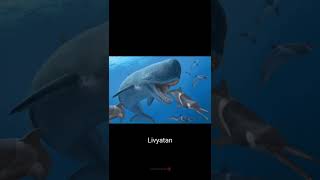 Ballenas prehistóricas Prehistoric whales Cetácea ballena animales prehistoria shorts [upl. by Geof226]