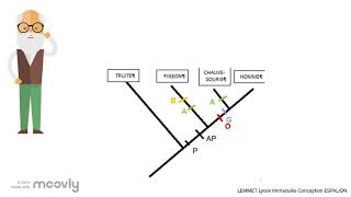 CAPACITE Exploiter un arbre phylogénétique [upl. by Nirat]