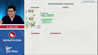 Hipotiroidismo congénito  Neonatología [upl. by Zumwalt837]