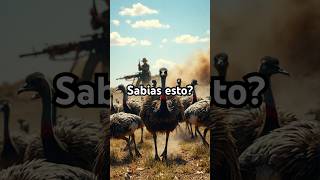 El Ejército que fue Derrotado por Aves😱 [upl. by Ttekcirc402]