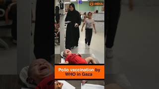 Polio vaccination drive by WHO in Gaza [upl. by Gaivn]