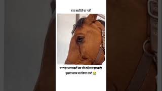 Ye bhi jiv hai itna to mat satao saveanimals dard bedlife verified disclaimer struggle short [upl. by Riobard]