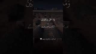 Quran lyrics 😘💕quran lyrics quran [upl. by Eerased]