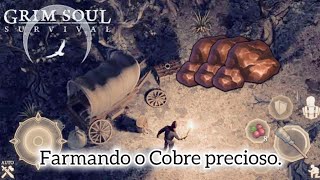 Farmando 530 Cobres para evolução o farm não para grimsoul [upl. by Anujra]