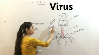 Biological ClassificationVirus Lichens for Neet2020 [upl. by Deevan]