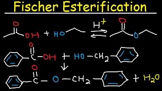 Fischer Esterification Reaction Mechanism  Carboxylic Acid Derivatives [upl. by Naej]