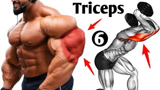 6 Perfect Triceps Workout  THE GYM [upl. by Llerroj571]