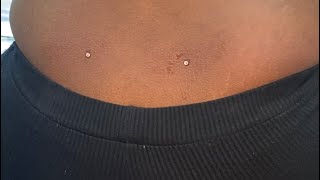 Back Dermal Piercings [upl. by Yk]