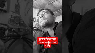 বুকের ভিতর তুমি যেনো ছোট্ট প্রাণের পাখি shorts sadsong banglasong ytshorts sabbirahmedofficial [upl. by Niels]