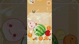 Watermelon Game watermelon watermelondrop watermelonmerge shorts games [upl. by Ez]