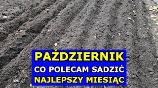 PAŹDZIERNIK  Najlepszy Miesiąc na Sadzenie tych Warzyw Co siać sadzić w Październiku Kalendarz [upl. by Ecirtaeb]