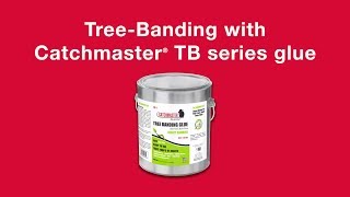 TreeBanding with Catchmaster TB1 Glue [upl. by Olleina619]