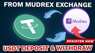 Mudrex Best Crypto Exchange Buy USDT Using UPI  How To Deposit amp Transfer Crypto Mudrex Exchange [upl. by Raleigh]