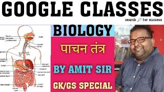 पाचन तंत्र Digestive system CLASS 10 by Amit sir [upl. by Lisabeth]