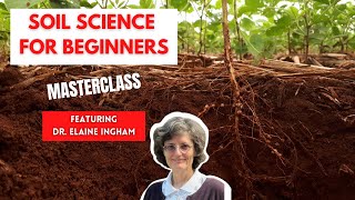 How to Build Great Soil  A Soil Science Masterclass with Dr Elaine Ingham Part 1 of 4 [upl. by Nywrad]