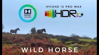 Dolby Vision HDR10 iPhone 12 Pro Max [upl. by Annalla329]