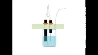 Voltammetric Electrodes [upl. by Harifaz]