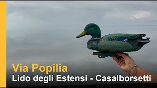 Via Popilia  Dal Lido degli Estensi a Casalborsetti [upl. by Ahsieker]