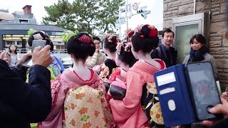 Geishas Walk from Minamiza to Pontocho Alley in Gion Kyoto  京都祇園、南座から先斗町を歩く外国人観光客と舞妓さん、海外の反応 [upl. by Teria]