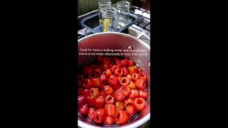 Peppadew Recipe [upl. by Adler841]