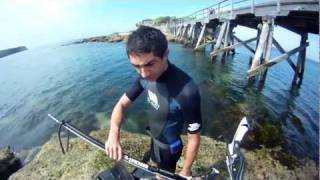 Spearfishing Bare Island [upl. by Pacheco]