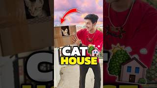 New House For My Cats 💀😀  Mini Vlog shorts minivlog ashortaday vlog tranding cat [upl. by Malet700]