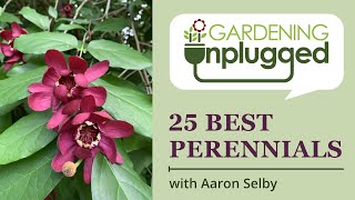 Gardening Unplugged  25 easy to grow and easy to maintain perennials with Aaron Selby [upl. by Yuhas]