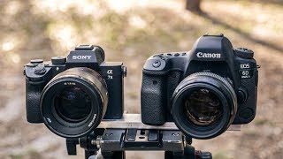 Sony A7III vs Canon 6D Mark II [upl. by Langsdon932]