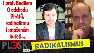 S prof Budilem o odchodu Pirátů radikalismu i smaženém kuřeti [upl. by Ruhtra]