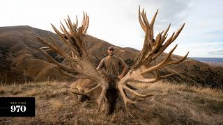 Venator New Zealand  Three Massive Red Stags Scoring Over 900 SCI [upl. by Aihsinat]