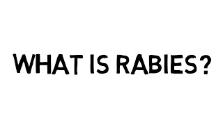 What is rabies [upl. by Manard]