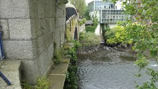 River Liffey at Island Bridge Dublin Ireland [upl. by Ellimak]