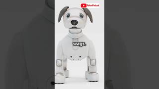 Meet Aibo Sonys 3000 Robot Dog [upl. by Falito192]