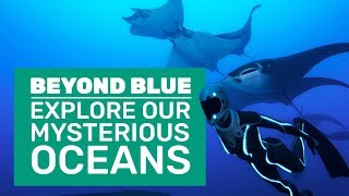 Beyond Blue Gameplay  First Look At Blue Planet The Game [upl. by Tseng]