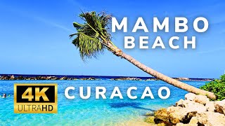 Curacao  4K  Mambo Beach  Beach Walk  BeachLife [upl. by Treacy]