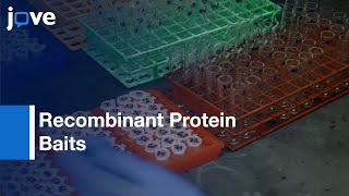 Phage Display amp Affinity Selection Using Recombinant Protein Baits l Protocol Preview [upl. by Nestor775]