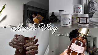 March Vlog  locs current reads amp mini haul Ancient Cosmetics Twisted Lily and more [upl. by Zorana]