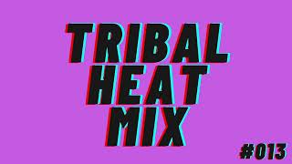 Latin amp Tribal House 2024 Mix  Mixed by QATT [upl. by Yelha]