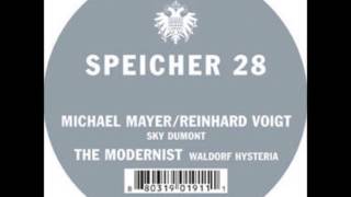 Michael Mayer Reinhard Voigt  Sky Dumont [upl. by Lisha]