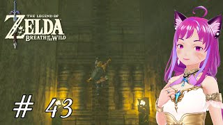 ZELDA BREATH OF THE WILD 🌸43🌸 Lets Play FR💕Le labyrinthe du précipice 💕 [upl. by Radnaxela]